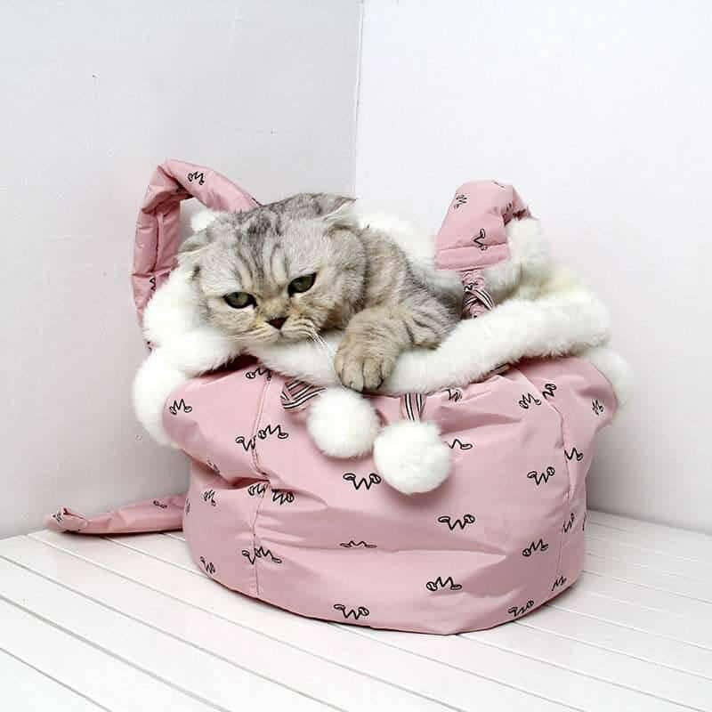 Pets Carrier Backpack Outdoor and Travel Use in Winter.