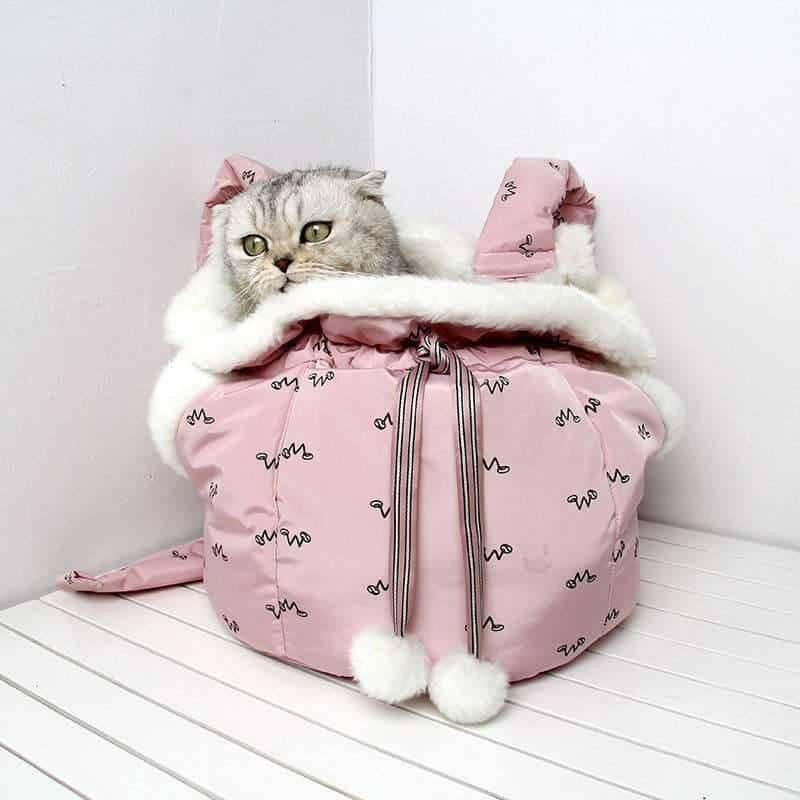 Pets Carrier Backpack Outdoor and Travel Use in Winter.