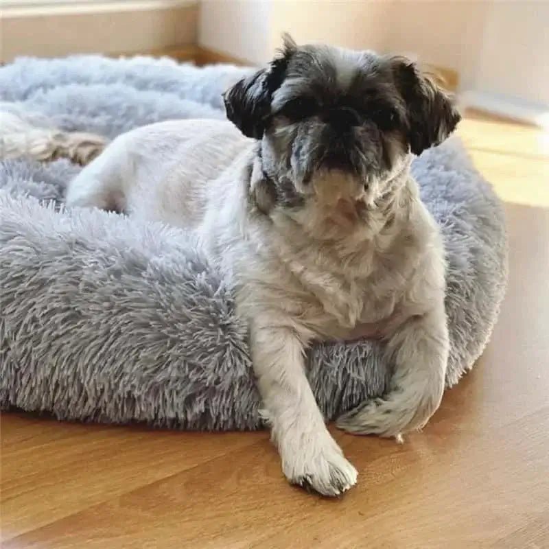 Plush Round Dog Bed - Skippy Dogs