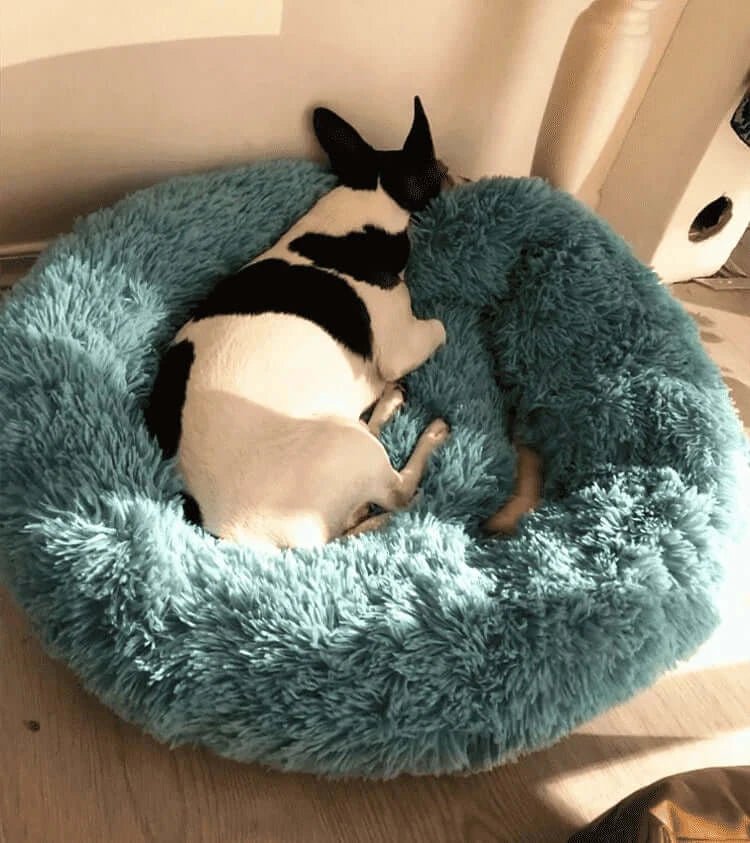 Plush Round Dog Bed - Skippy Dogs