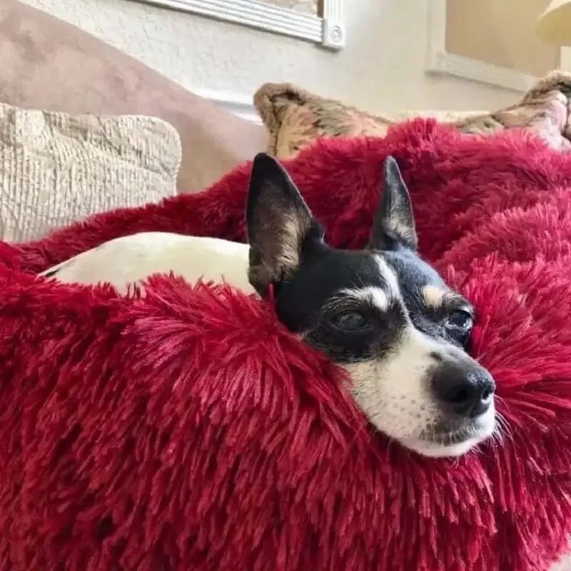 Plush Round Dog Bed - Skippy Dogs