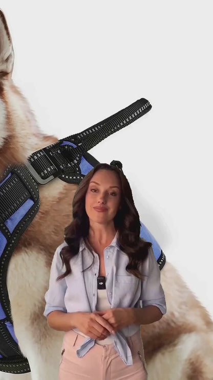 No-Pull 4-In-1 Dog Harness