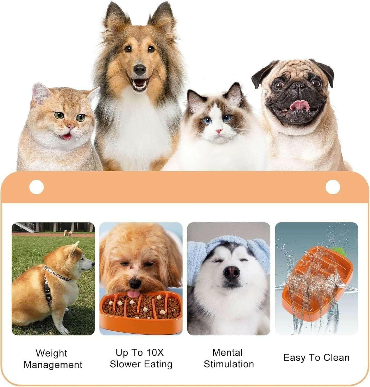 Slow Feeder Dog Bowl, Dog Food Bowl For Small & Medium-Sized Dogs.