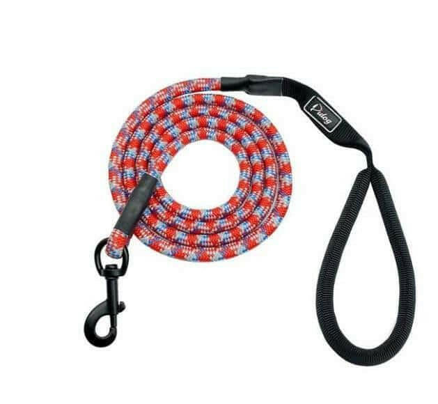 Small, medium and large dogs climbing ropes.