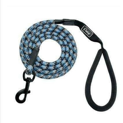 Small, medium and large dogs climbing ropes.