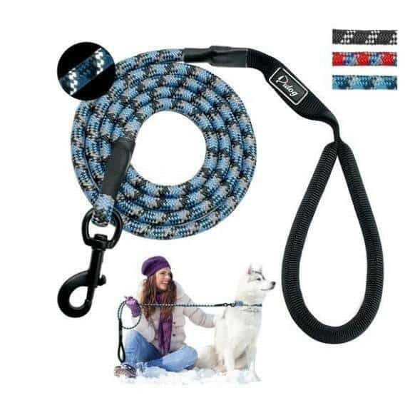 Small, medium and large dogs climbing ropes.