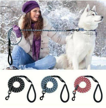 Small, medium and large dogs climbing ropes.