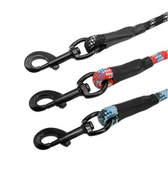 Small, medium and large dogs climbing ropes.