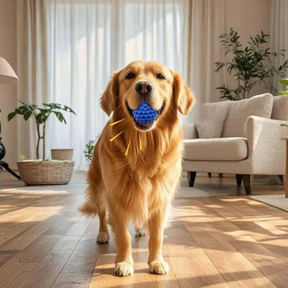 Squeaky Dog Toys For Aggressive Chewers.