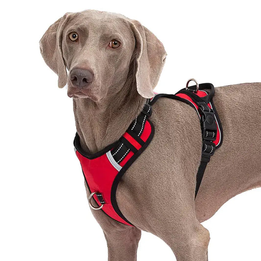 Abuandi Reflective Control Tactical Harness