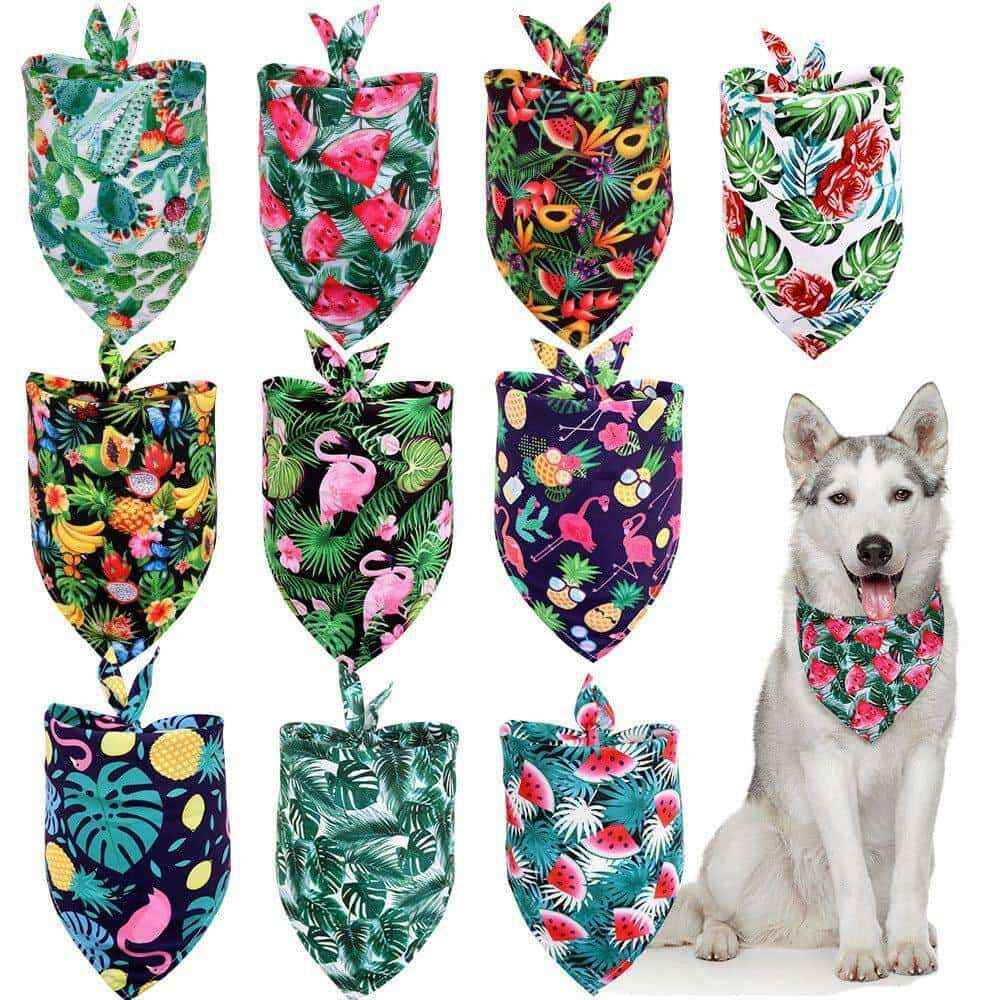 Tropical Wind Fruit Pet Drool Towel For Dogs.