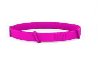 Two(2): 8 - Month Flea, Tick, and Mosquito Protection Silicone Collar for Dogs and Cats - Skippy Dogs