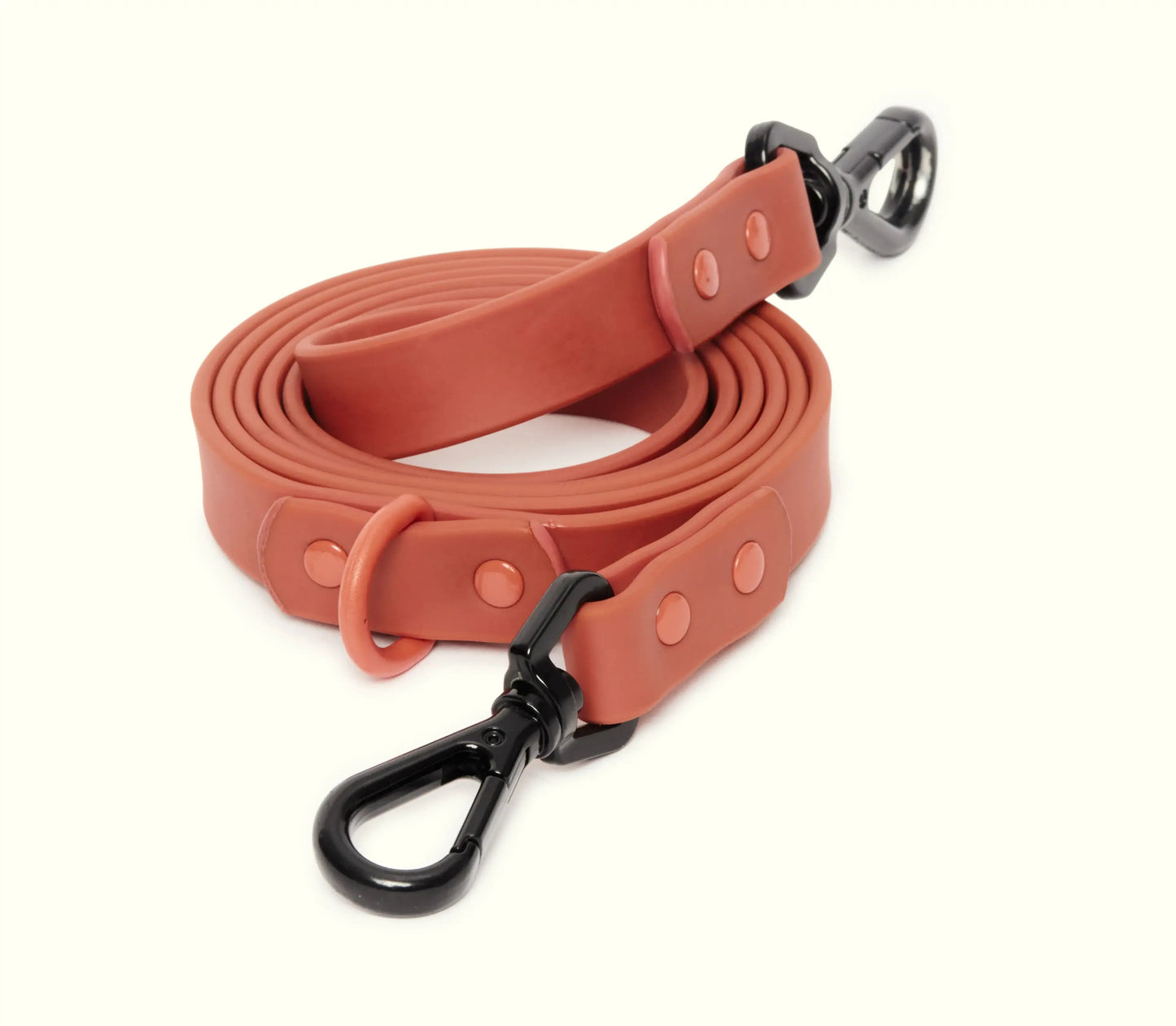 Waterproof Antifouling Pet Traction Rope for Comfort.
